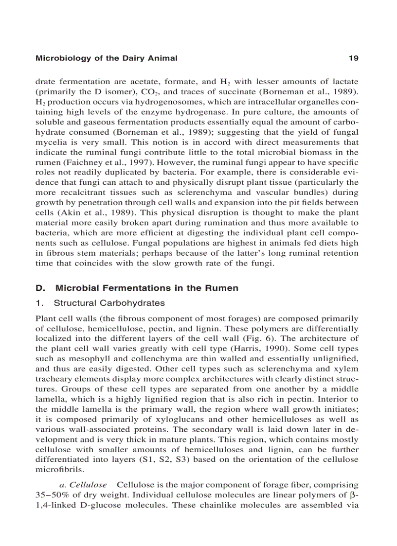 image for page Applied Dairy Microbiology 2nd Edition