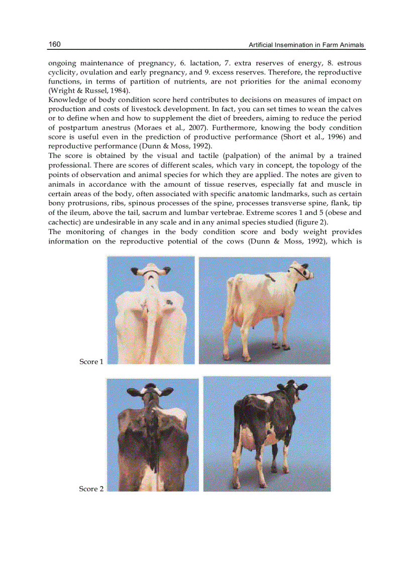 image for page Artificial Insemination in Farm Animals