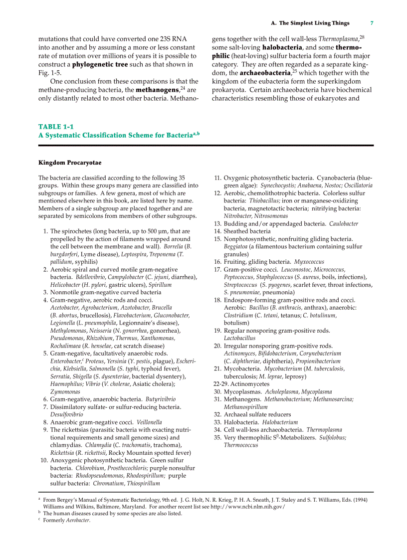 image for page Biochemistry 2 Volume Set 2nd Edition