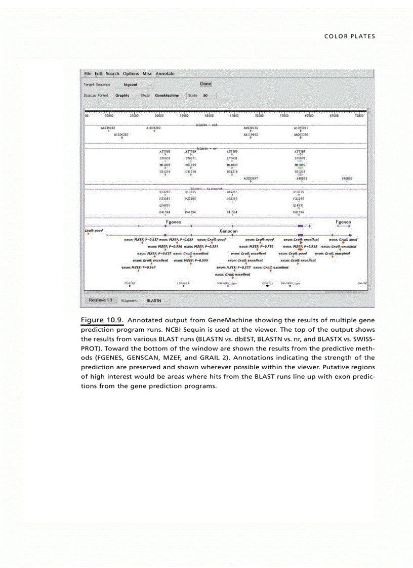 image for page Bioinformatics 2nd Edition