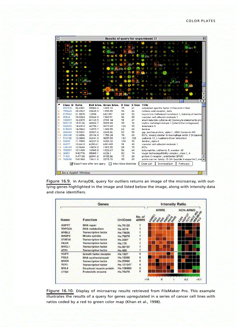 image for page Bioinformatics 2nd Edition