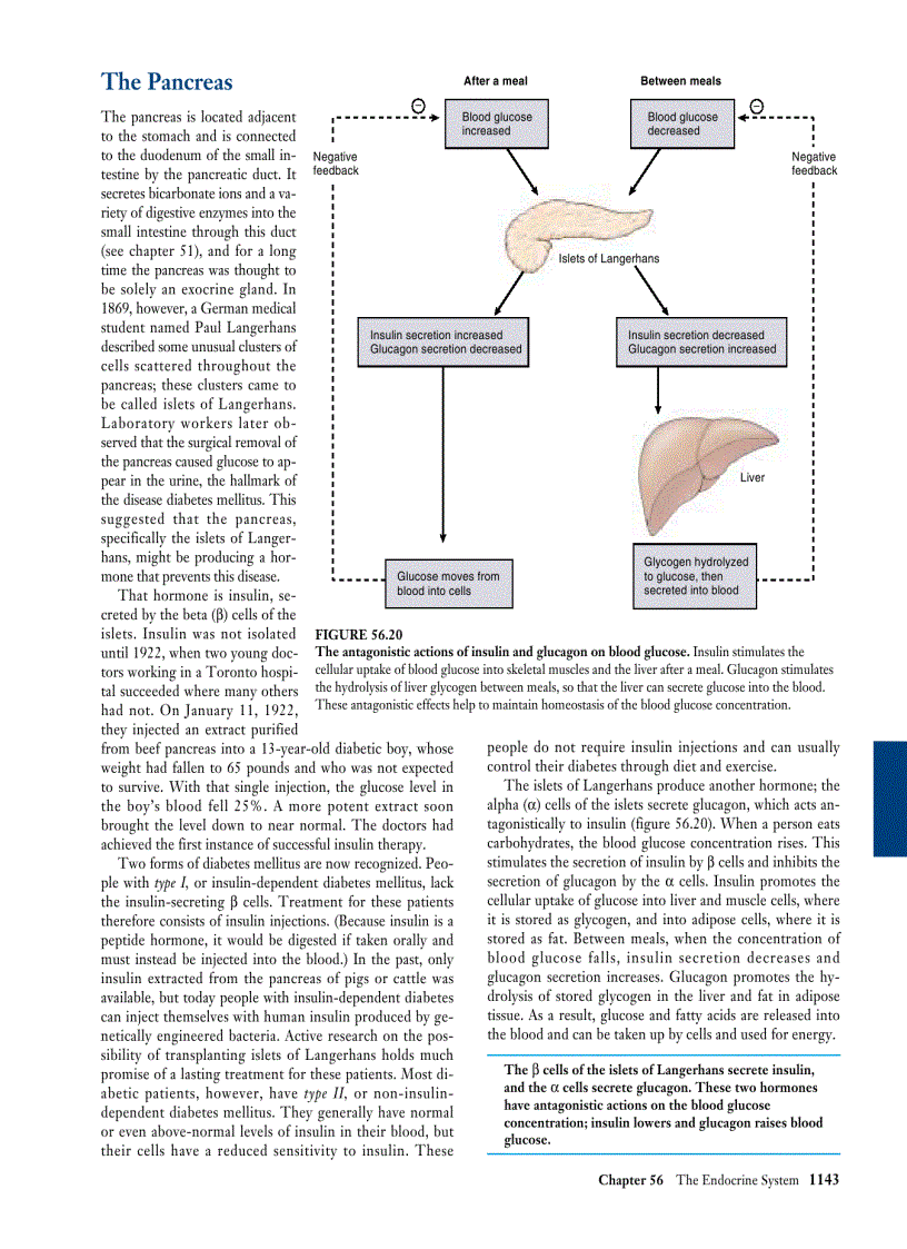 image for page Biology