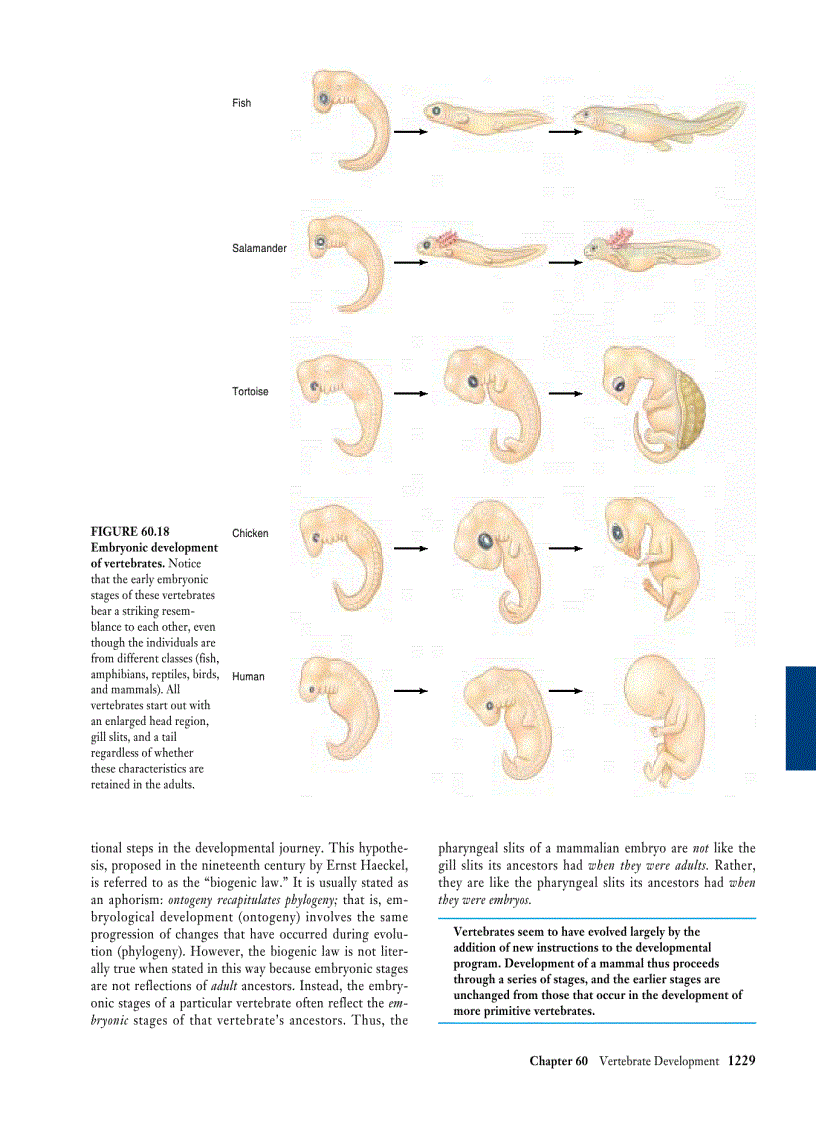 image for page Biology