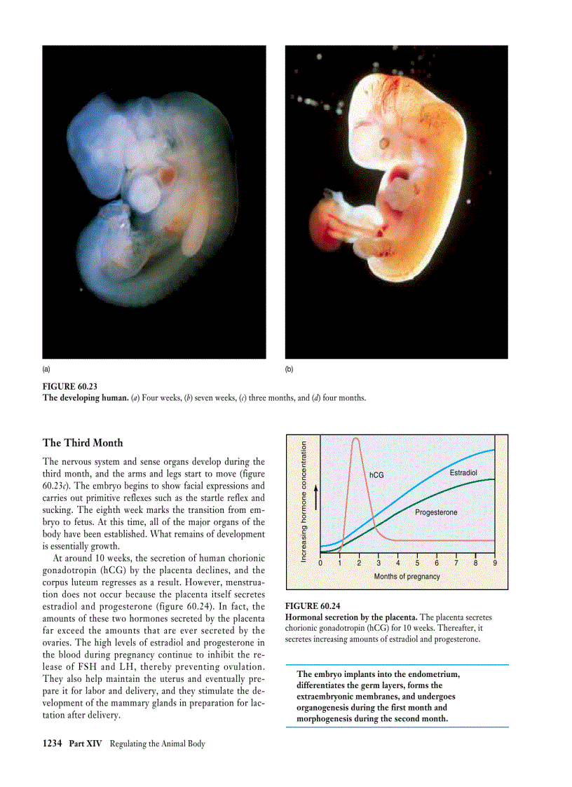 image for page Biology