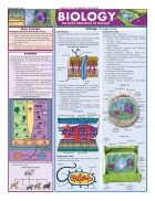 Biology Quickstudy Reference Guides