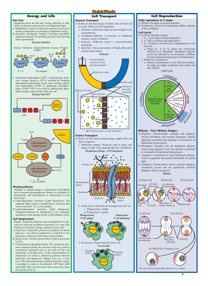 image for page Biology Quickstudy Reference Guides
