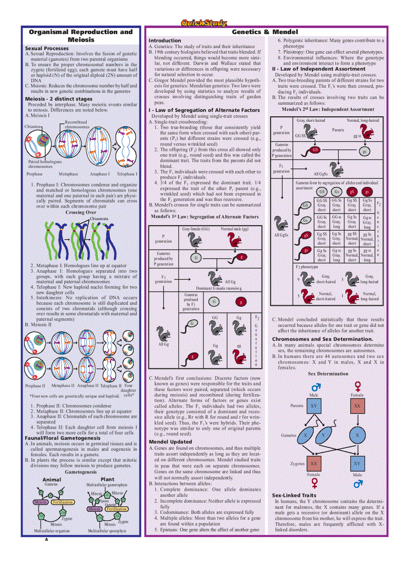image for page Biology Quickstudy Reference Guides