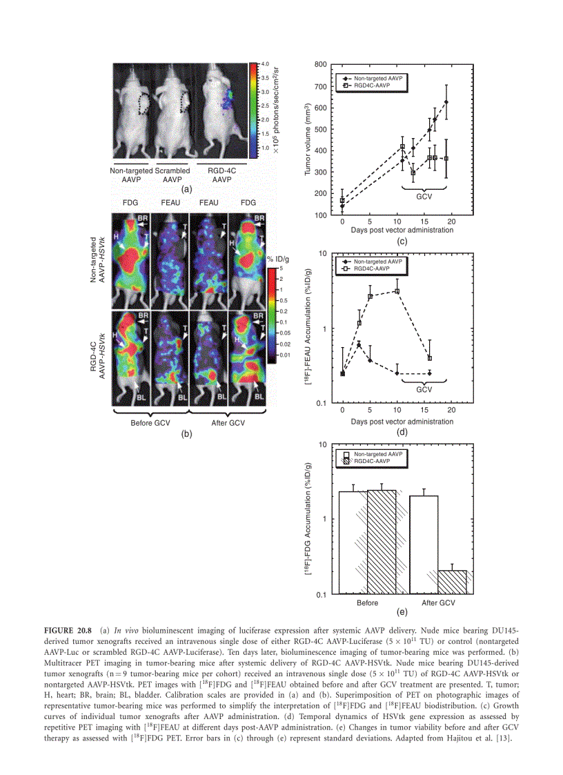 image for page Biomedical Information Technology