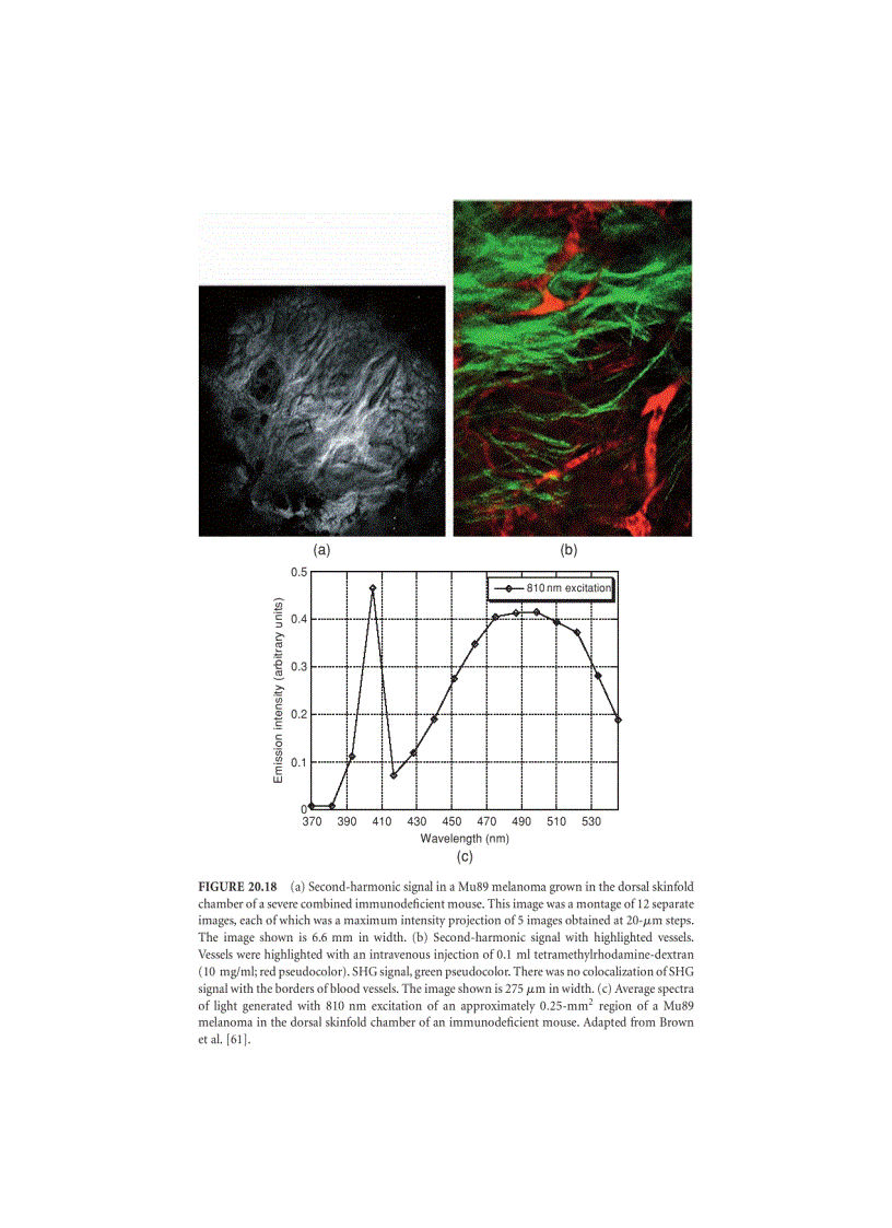 image for page Biomedical Information Technology