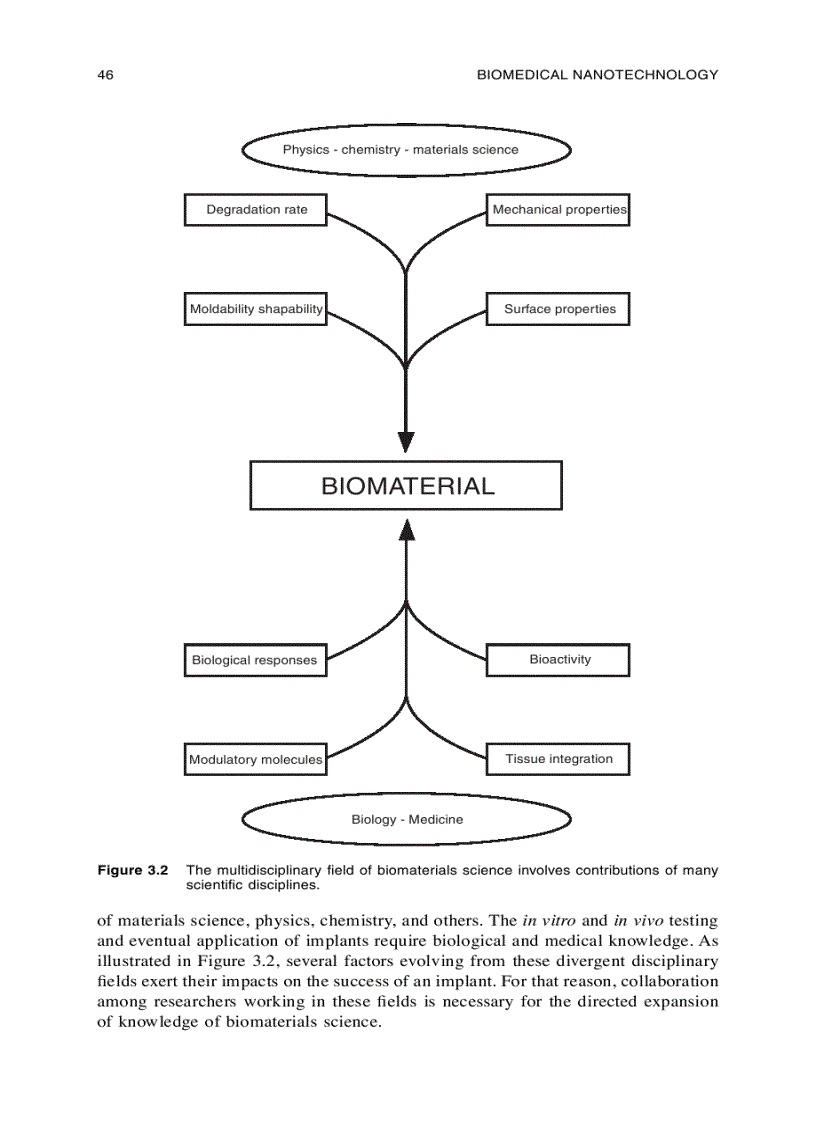 image for page Biomedical Nanotechnology