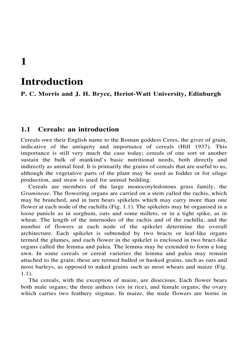 Cereal Biotechnology