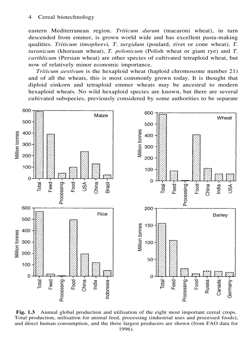 image for page Cereal Biotechnology