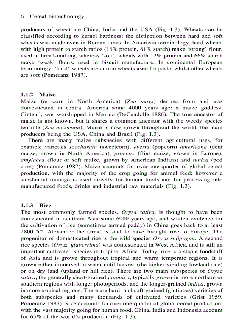 image for page Cereal Biotechnology