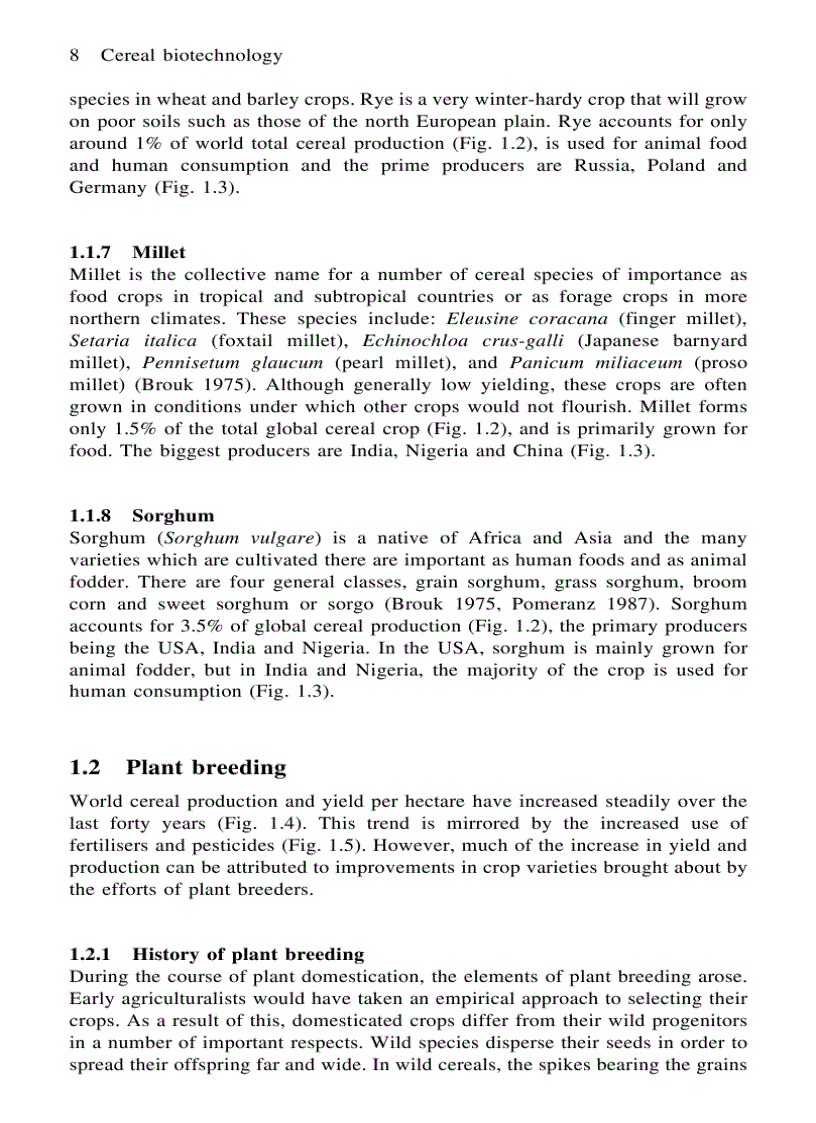 image for page Cereal Biotechnology