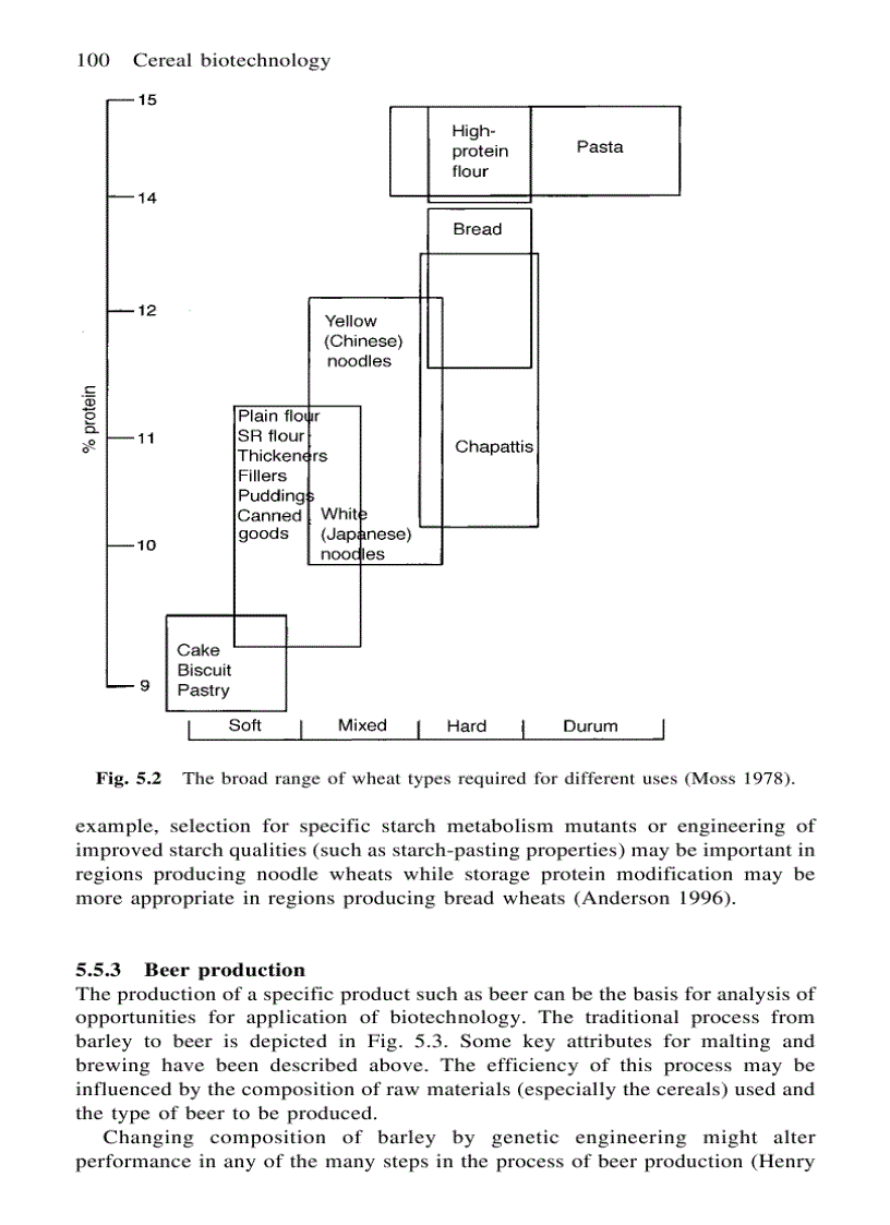 image for page Cereal Biotechnology