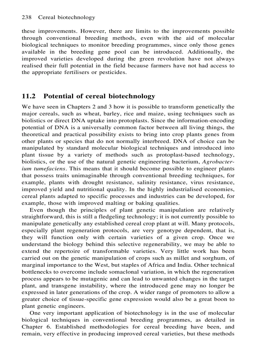 image for page Cereal Biotechnology