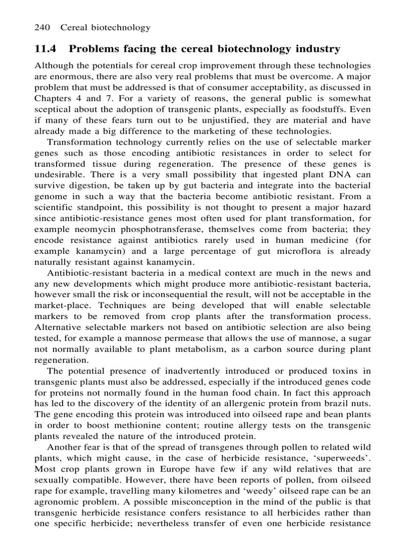 image for page Cereal Biotechnology