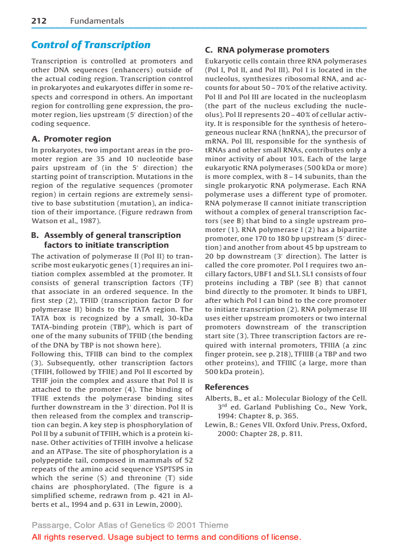 image for page Color Atlas of Genetics Thieme Flexibook 2nd Edition
