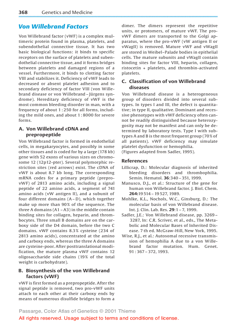 image for page Color Atlas of Genetics Thieme Flexibook 2nd Edition