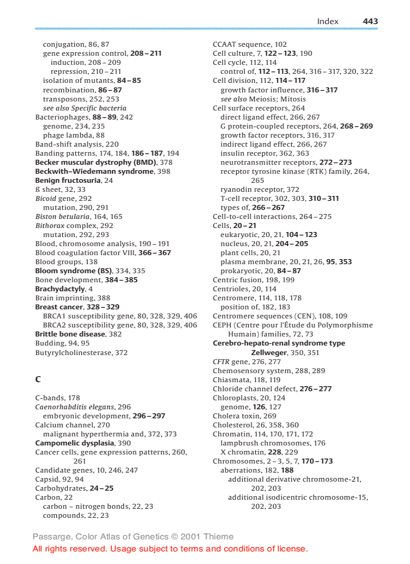 image for page Color Atlas of Genetics Thieme Flexibook 2nd Edition