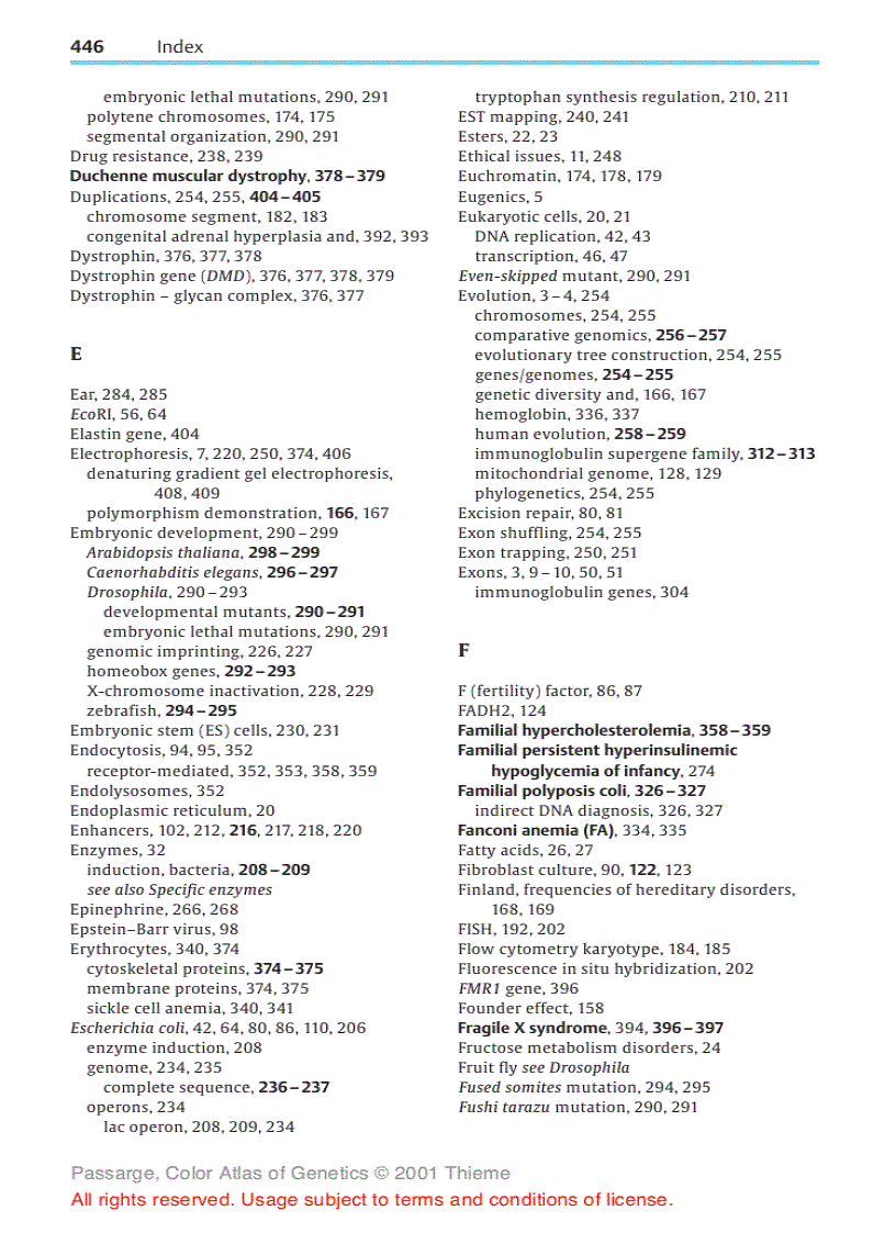 image for page Color Atlas of Genetics Thieme Flexibook 2nd Edition