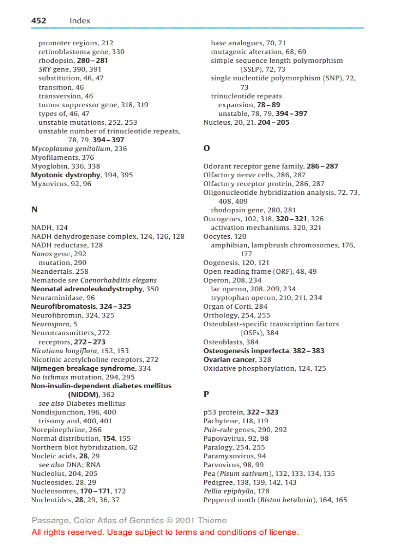 image for page Color Atlas of Genetics Thieme Flexibook 2nd Edition