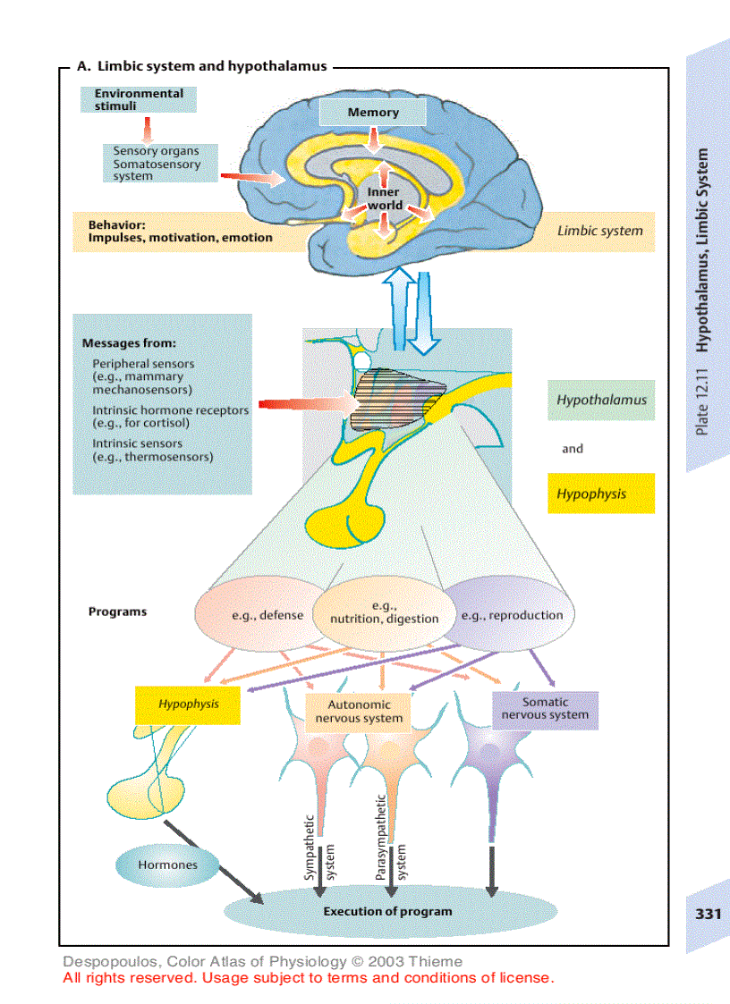 image for page Color Atlas of Physiology