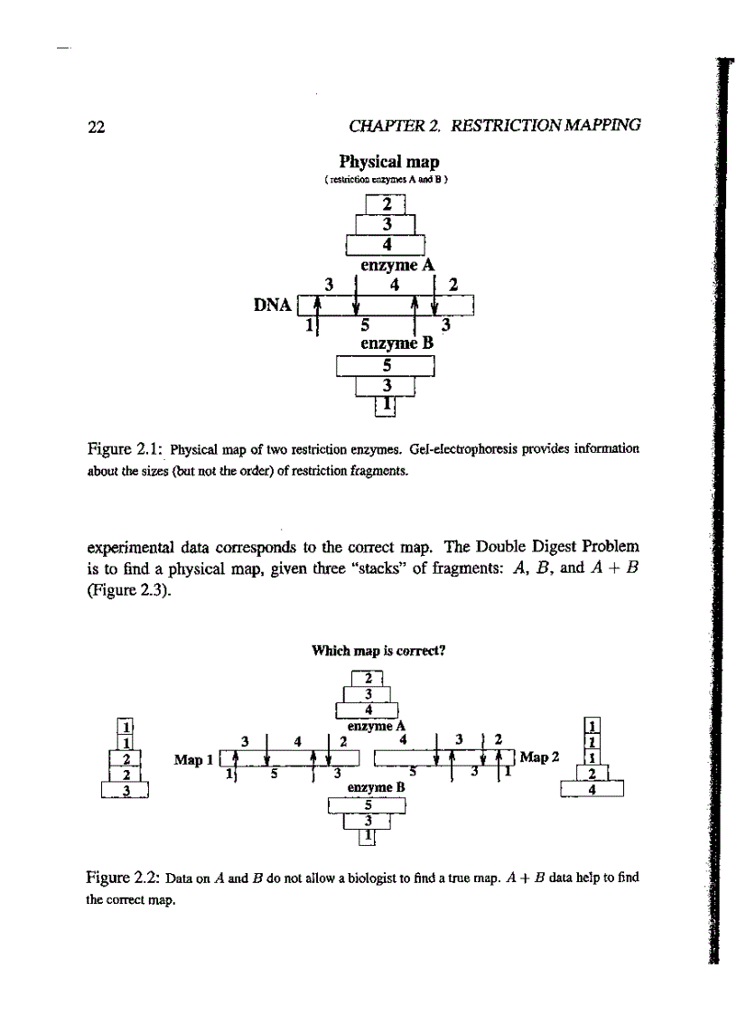image for page Computational Molecular Biology