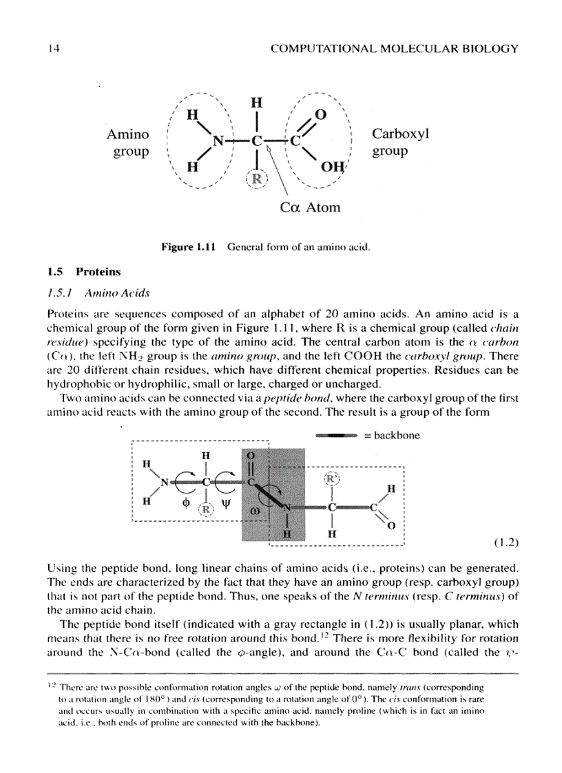 image for page Computational Molecular Biology An Introduction
