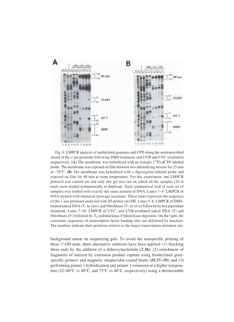 image for page DNA Protein Interactions Principles and Protocols 2nd Edition