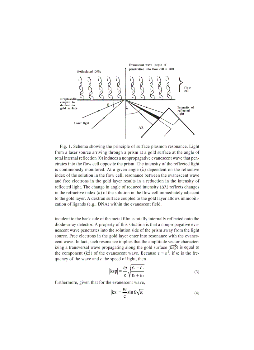 image for page DNA Protein Interactions Principles and Protocols 2nd Edition