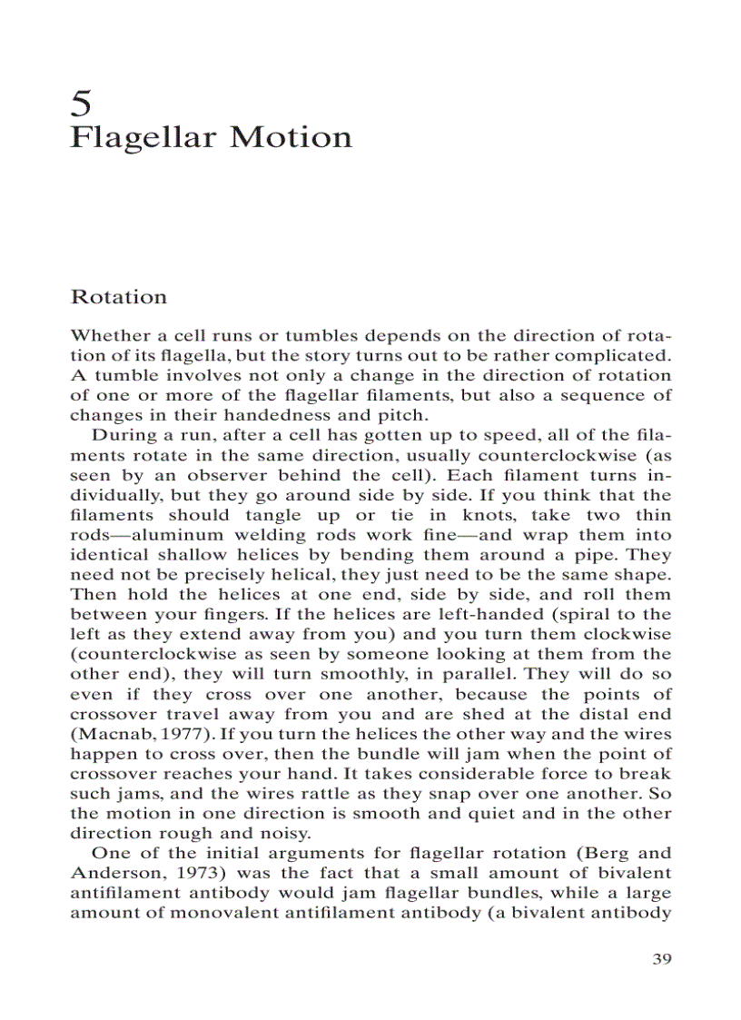 image for page E coli in Motion