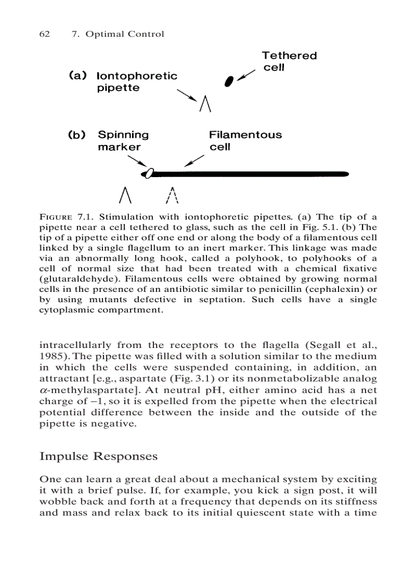 image for page E coli in Motion