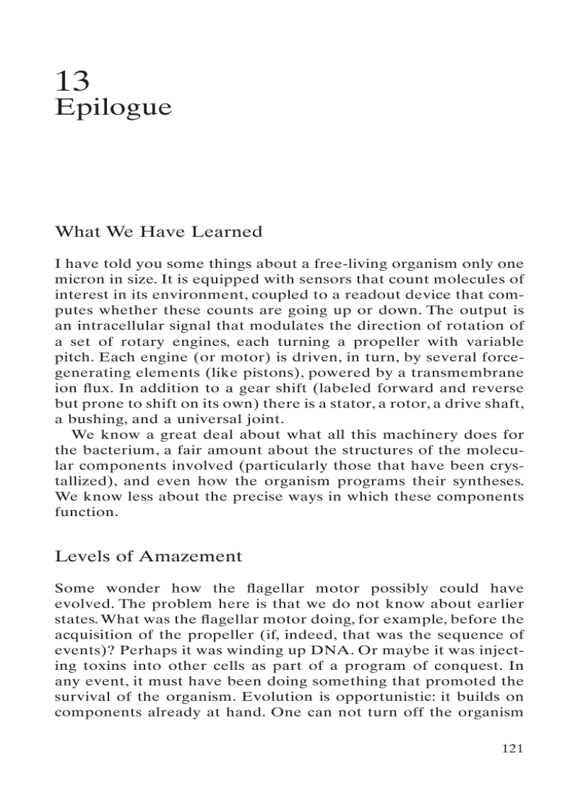 image for page E coli in Motion