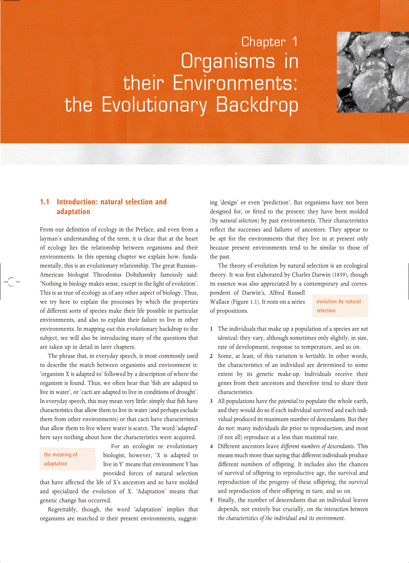 image for page Ecology