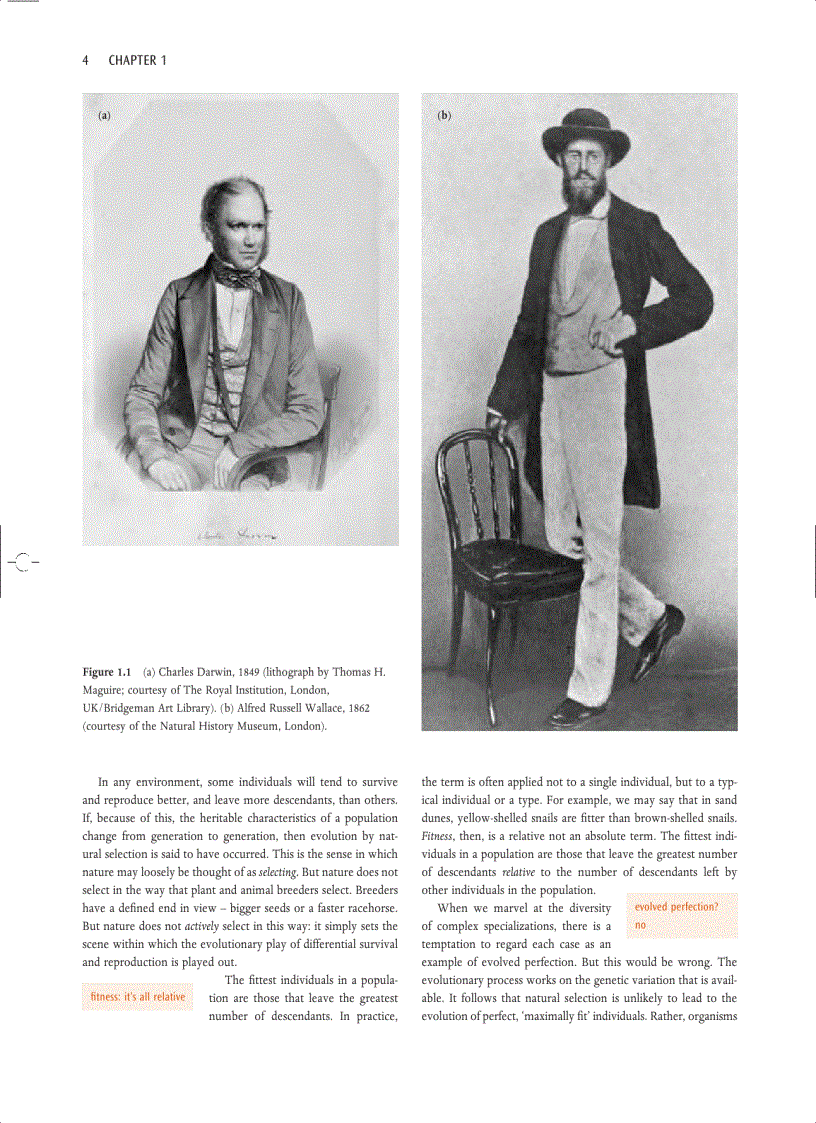 image for page Ecology