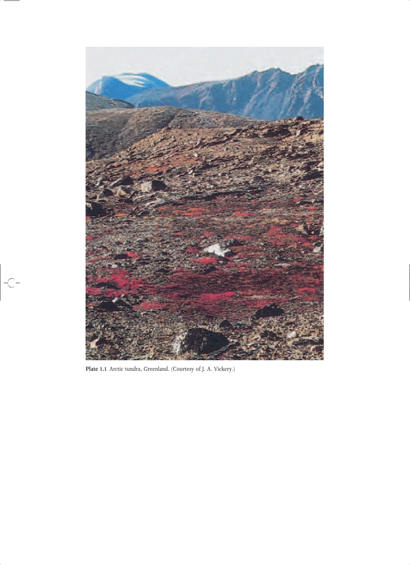 image for page Ecology