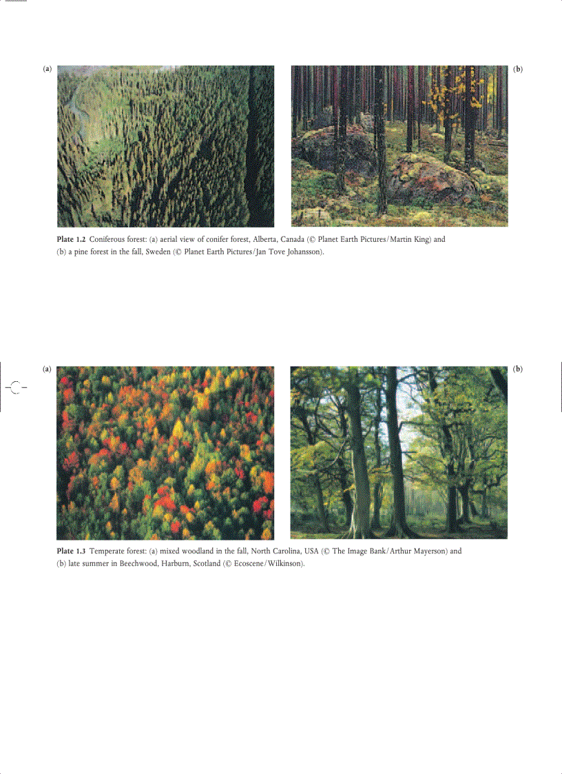 image for page Ecology