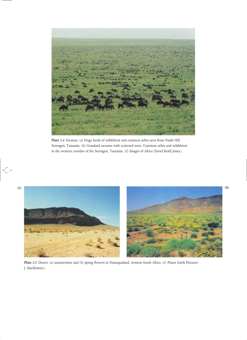 image for page Ecology