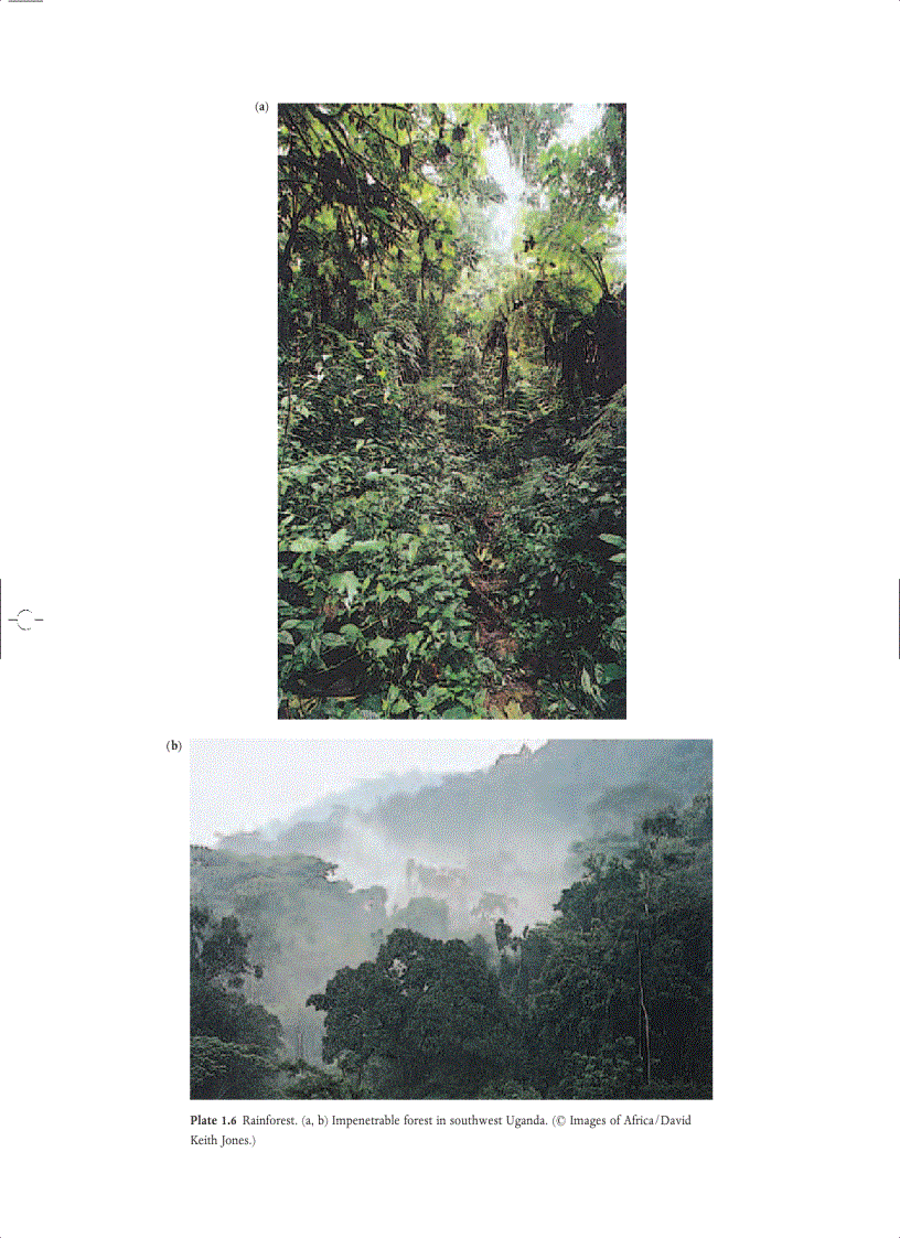 image for page Ecology