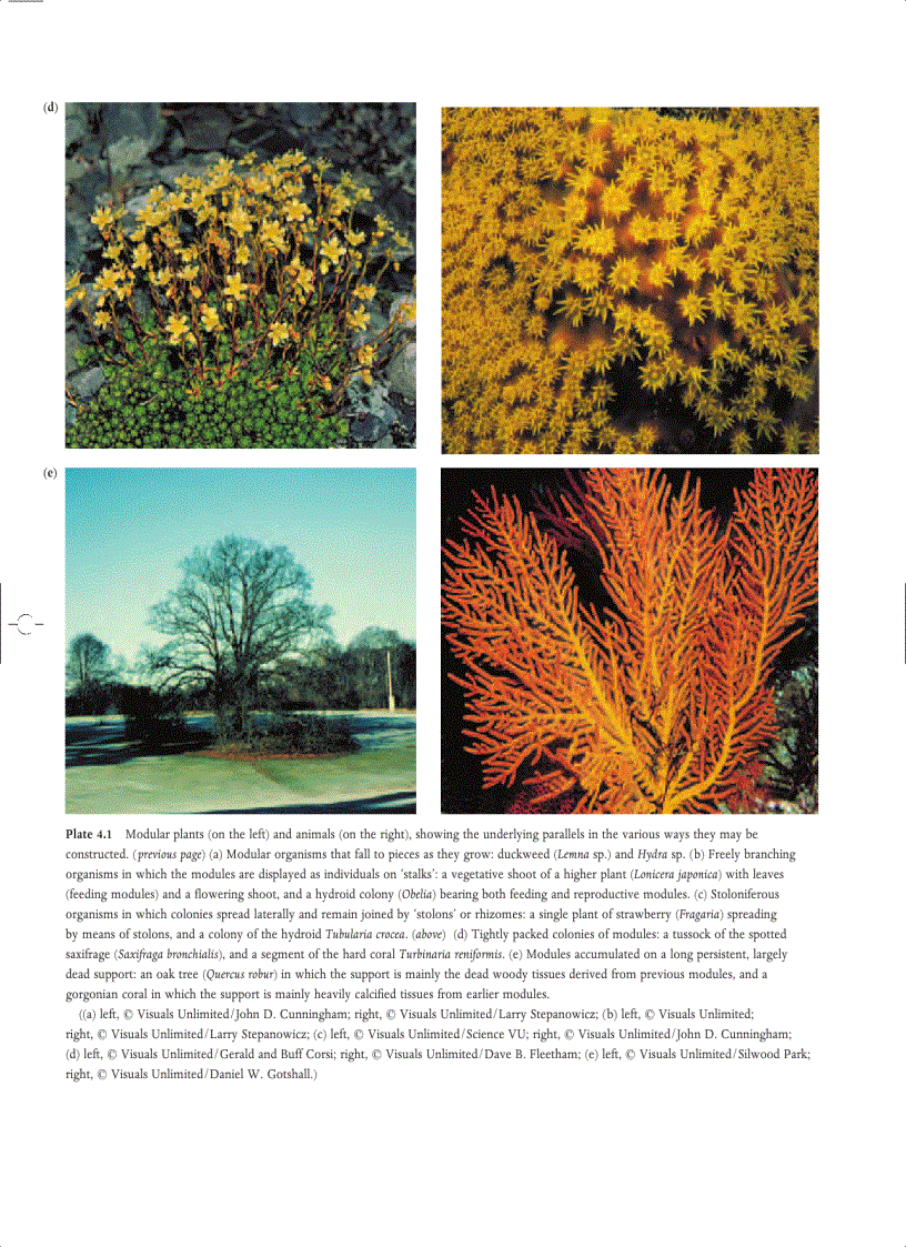 image for page Ecology