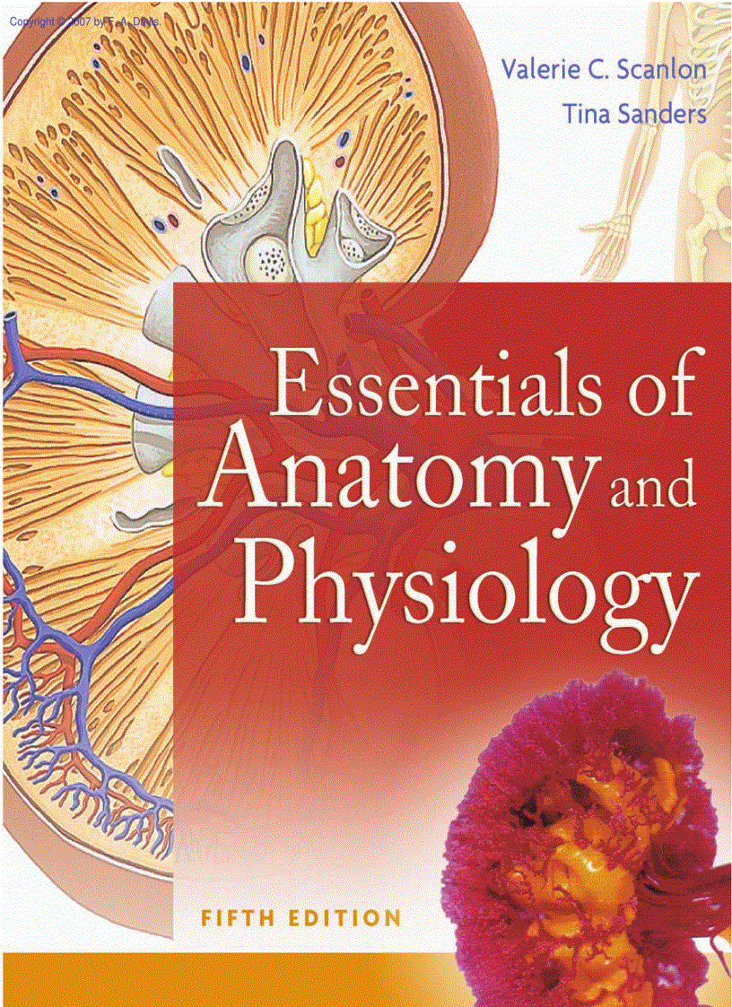 image for page Essentials of Anatomy and Physiology 5th Edition