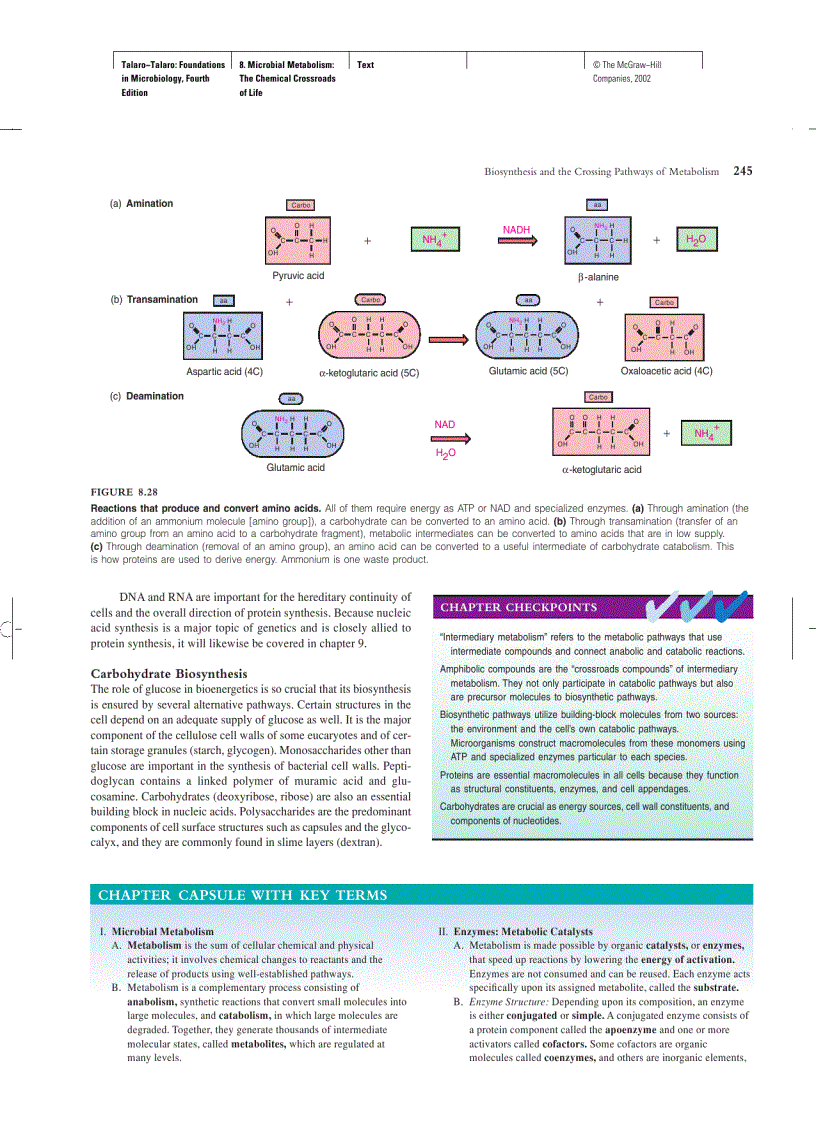 image for page Foundations in Microbiology