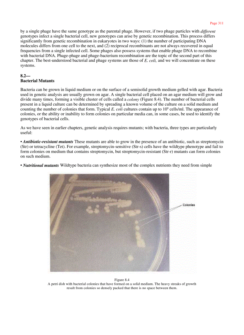 image for page Genetics