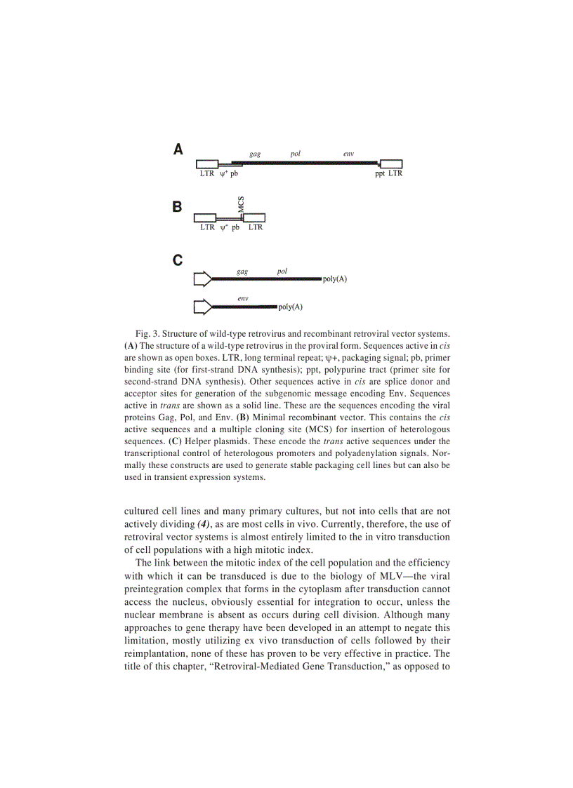 image for page Genomics Protocols Methods in Molecular Biology