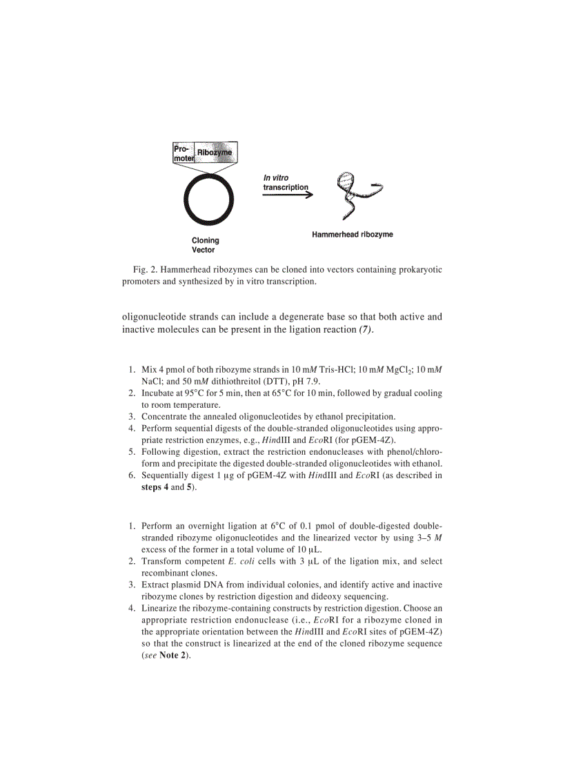 image for page Genomics Protocols Methods in Molecular Biology