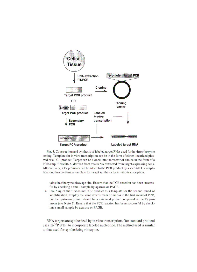 image for page Genomics Protocols Methods in Molecular Biology