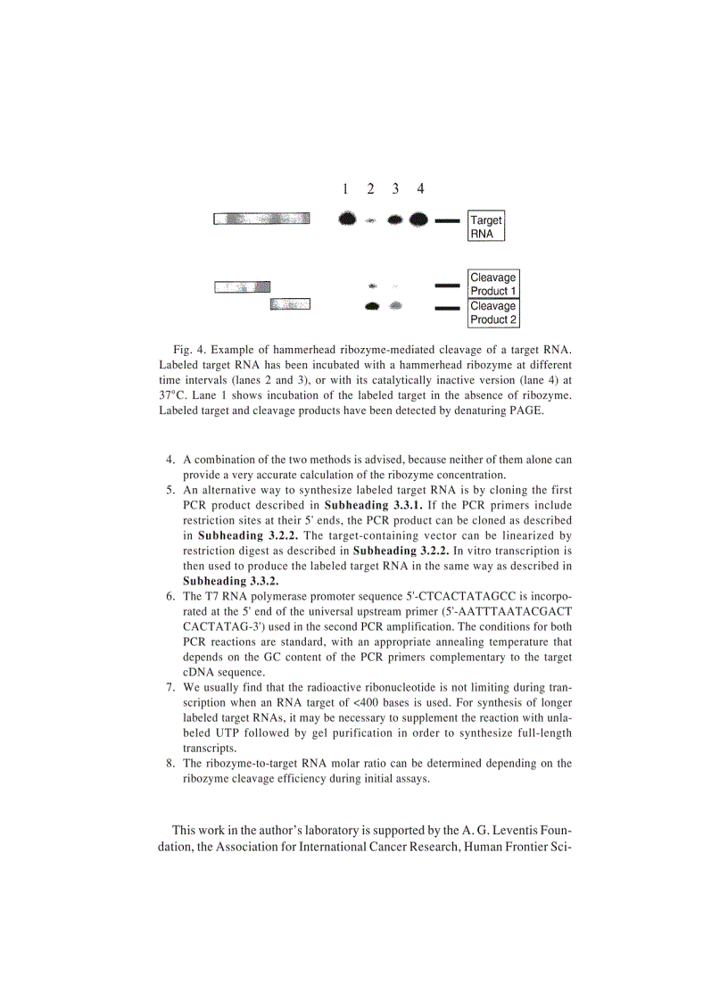 image for page Genomics Protocols Methods in Molecular Biology