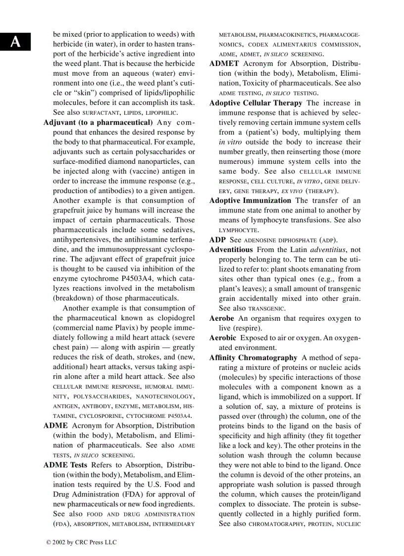 image for page Glossary of Biotechnology Terms 3rd Edition