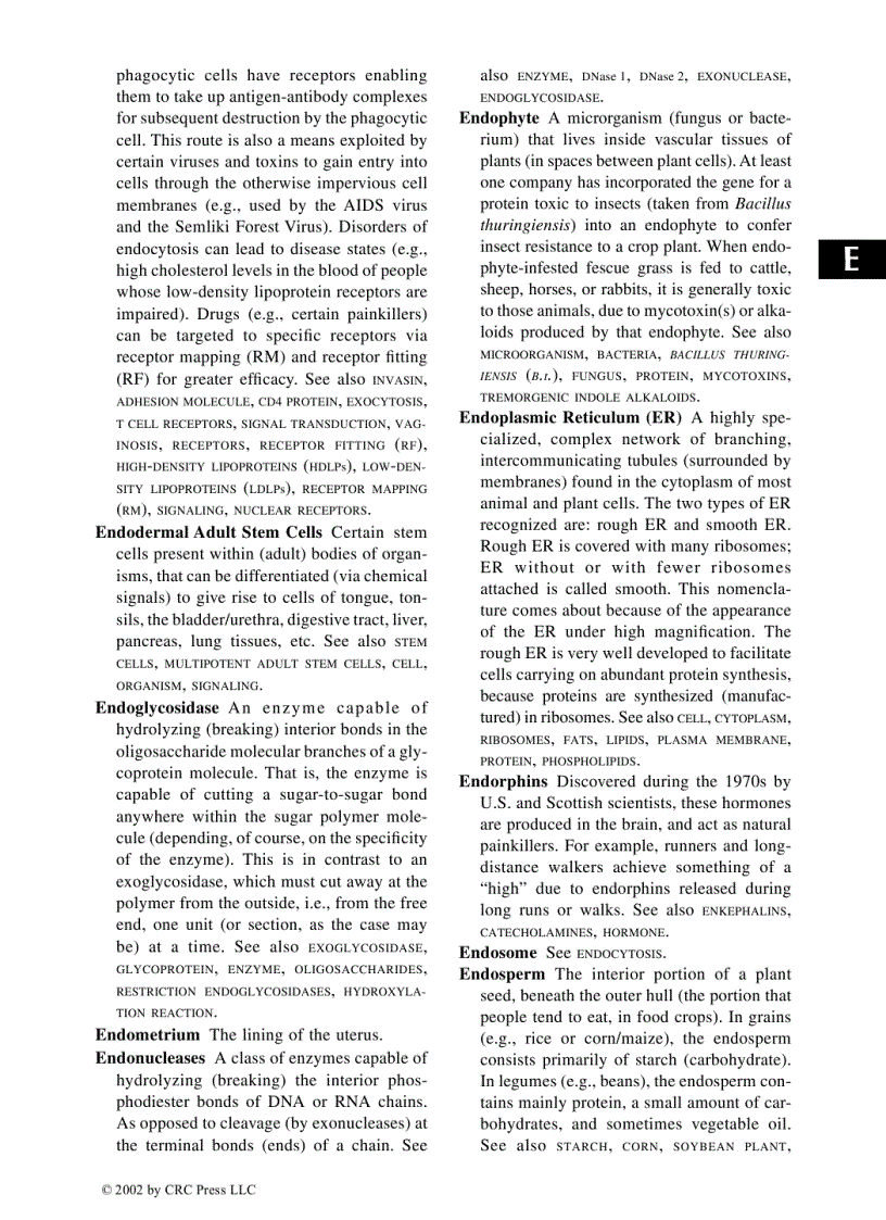 image for page Glossary of Biotechnology Terms 3rd Edition
